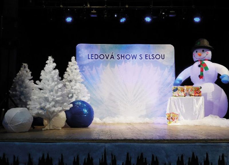 5b88866111c24-ledovshowselsouhlavn800.jpg